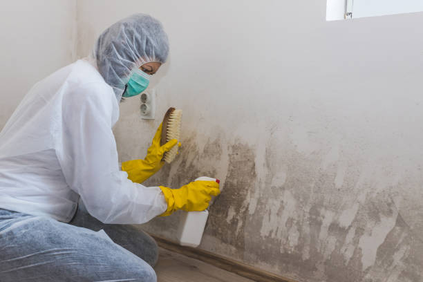 Forensic Mold Investigation in Kerrville, TX